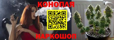 прущие грибы Уссурийск